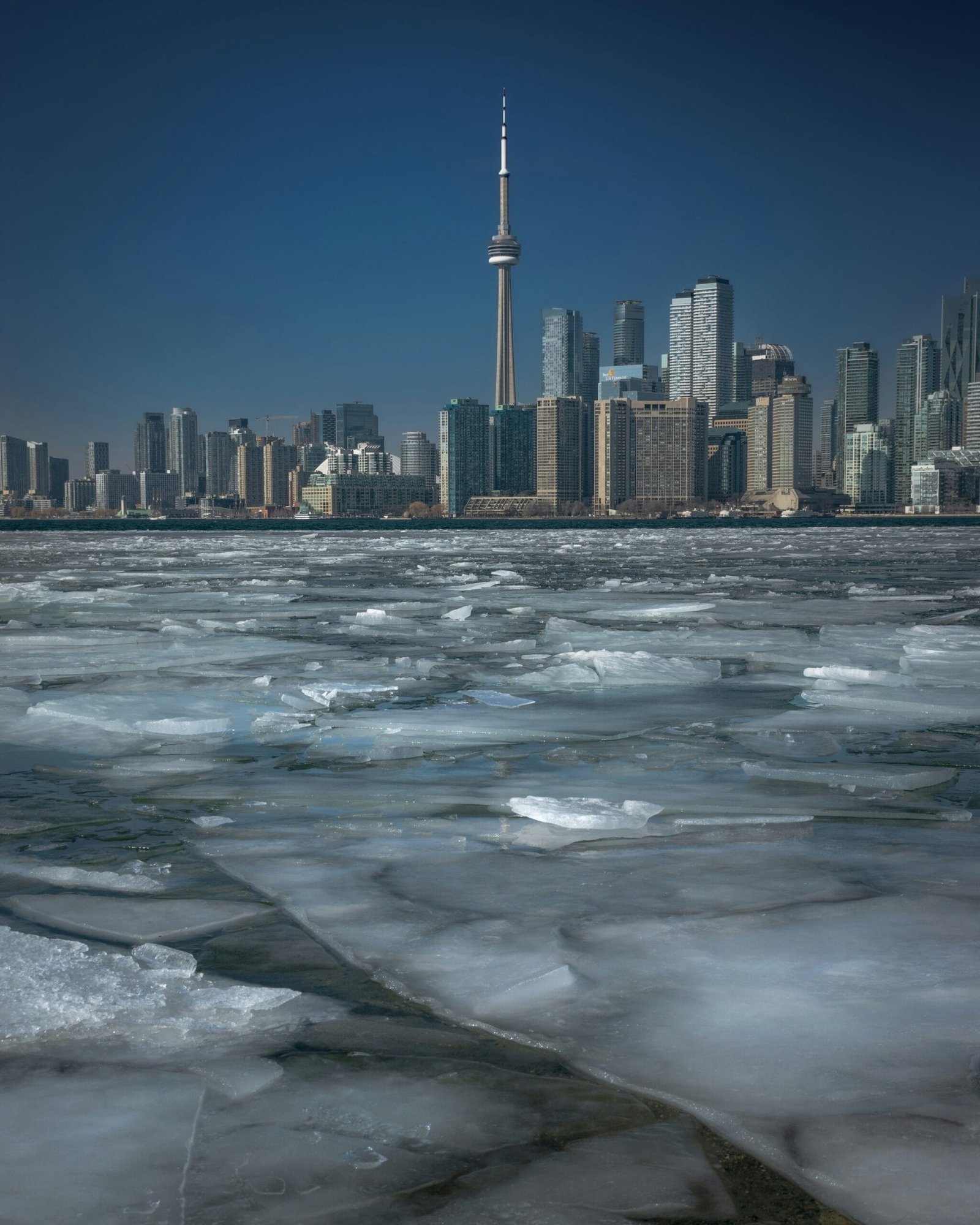Toronto Island in Winter! Toronto Island in Winter!