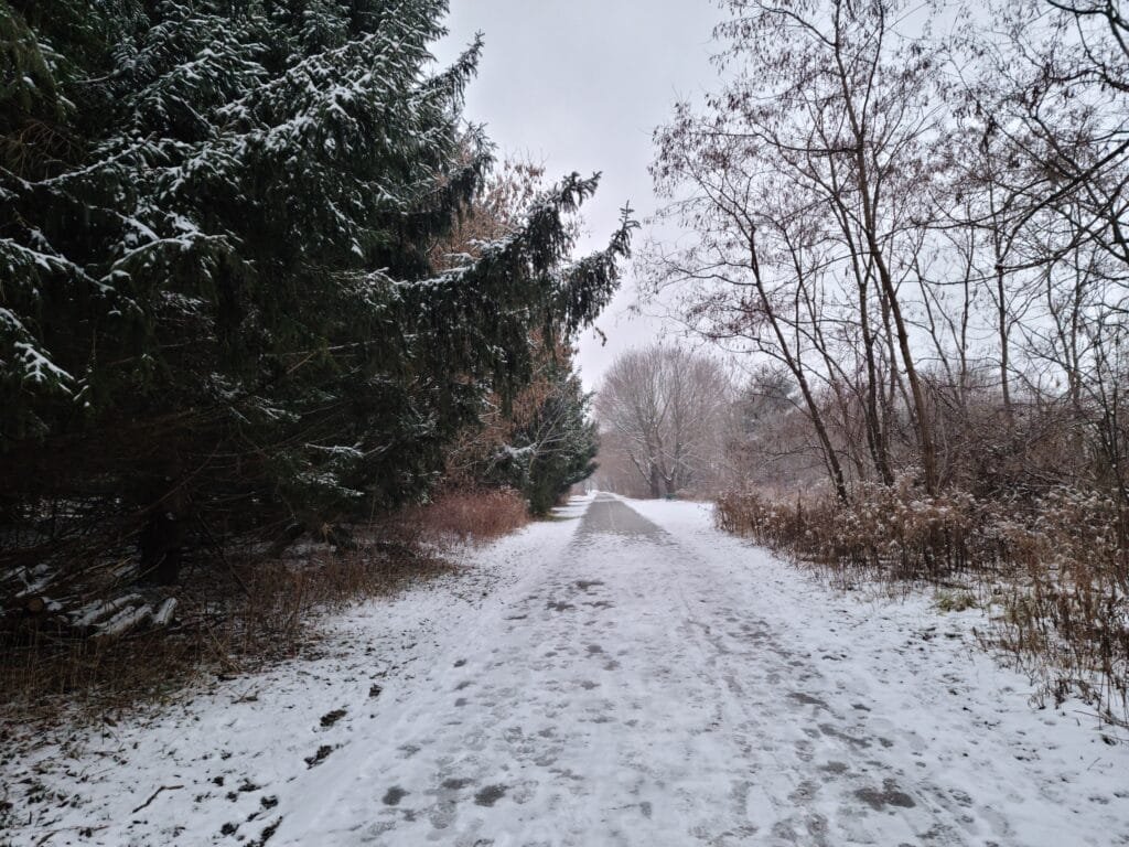 Roth Park, one of the best parks in Woodstock, Ontario.